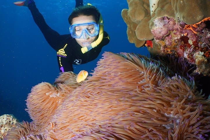 Agincourt Reef Day Cruise: Snorkel and Dive with Poseidon from Port Douglas photo 4