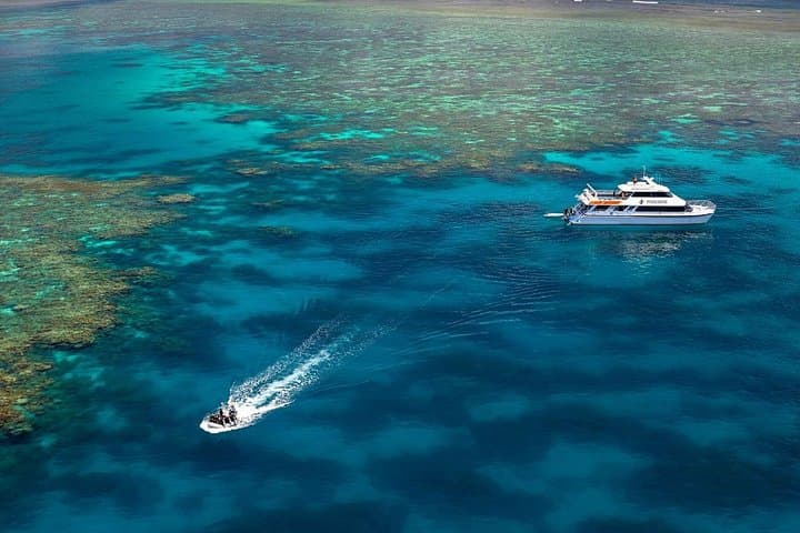Agincourt Reef Day Cruise: Snorkel and Dive with Poseidon from Port Douglas photo 5