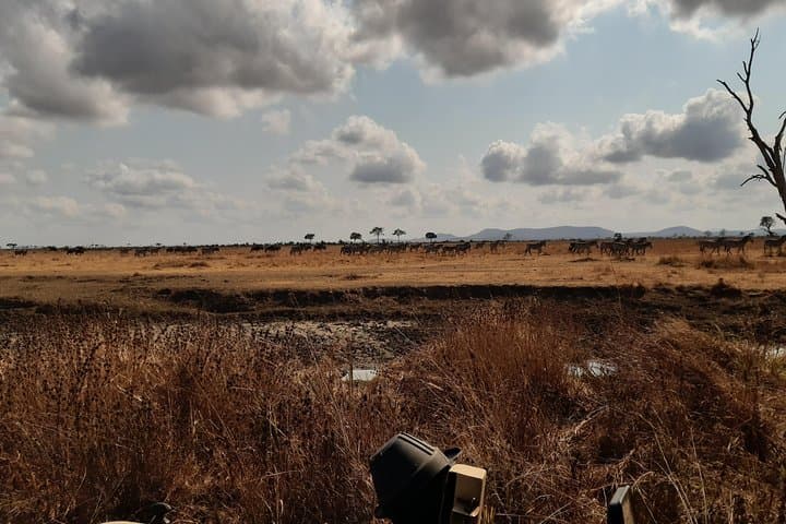 3-Day Mikumi National Park Safari: Easy Weekend Game Drives from Dar es Salaam