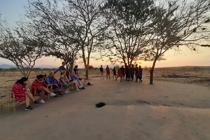3-Day Mikumi National Park Safari: Easy Weekend Game Drives from Dar es Salaam photo 3
