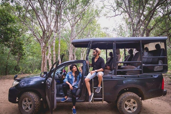 Half-Day Yala Safari from Kataragama — Leopard, Elephant & Birdwatching