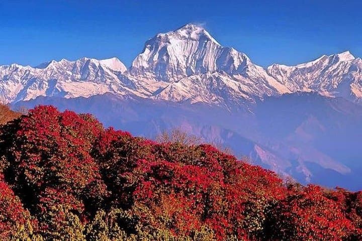 3-Day Ghorepani Poon Hill Trek from Pokhara — Sunrise Over Annapurna photo 2