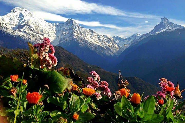 3-Day Ghorepani Poon Hill Trek from Pokhara — Sunrise Over Annapurna photo 4