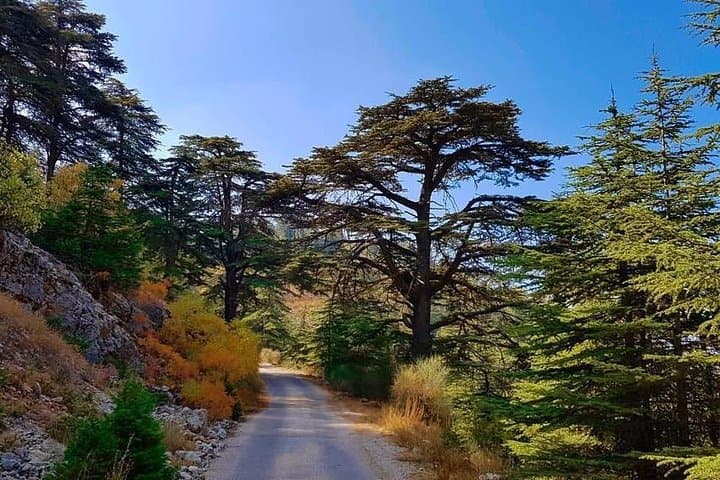 Private Day Trip from Beirut to Beiteddine, Deir el Qamar & Chouf Cedars