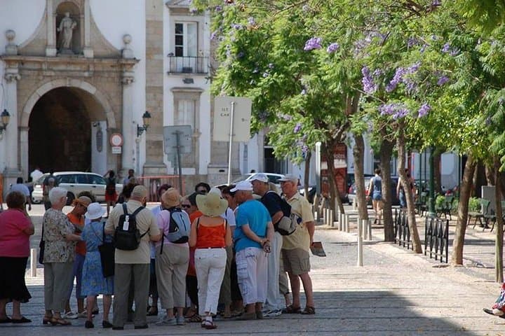Discovery Portugal: South-to-North 6-Day Private Tour from Lisbon photo 3
