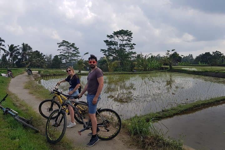Kintamani Downhill Cycling Tour: Ubud to Mount Batur, Rice Fields & Villages photo 4