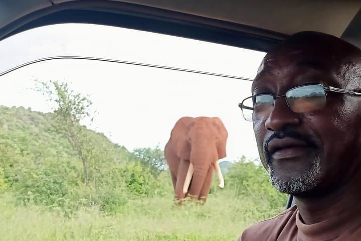 Cream of Kenya: 18-Day Big Five Safari & Wildebeest Migration Experience photo 6