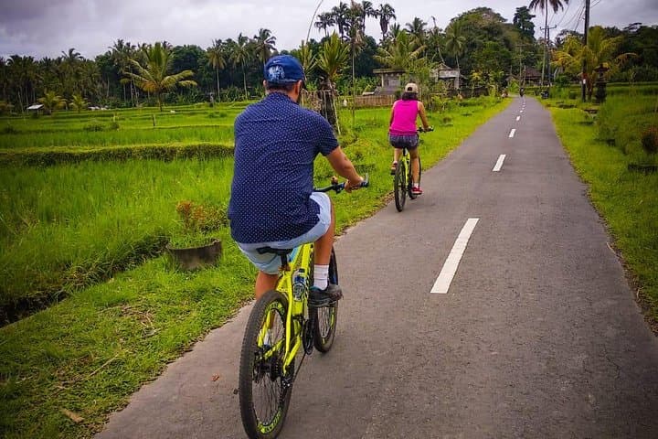 Kintamani Downhill Cycling Tour: Ubud to Mount Batur, Rice Fields & Villages photo 6
