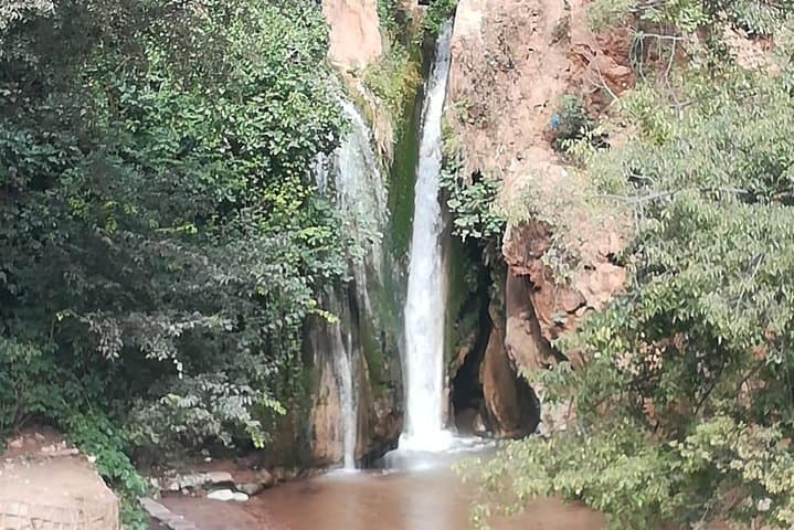 Middle Atlas Day Trip from Fes: Ifrane, Azrou & Cedar Forests photo 2