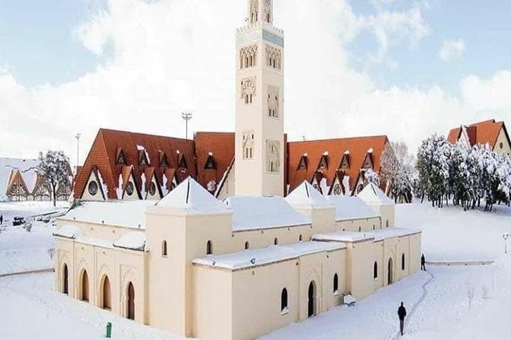 Middle Atlas Day Trip from Fes: Ifrane, Azrou & Cedar Forests photo 3