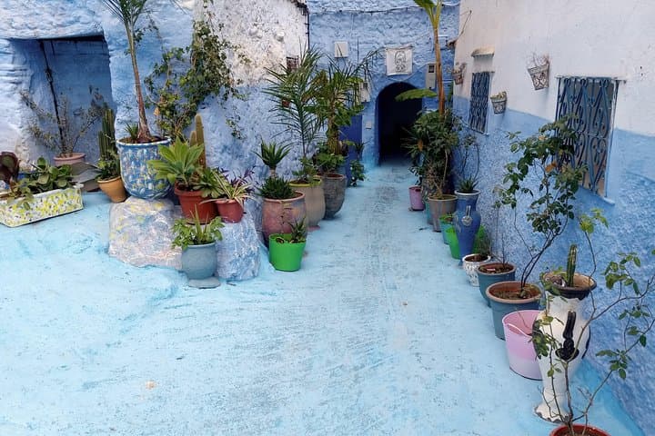 Day Trip to Chefchaouen: Explore Morocco’s Blue City from Fes photo 5