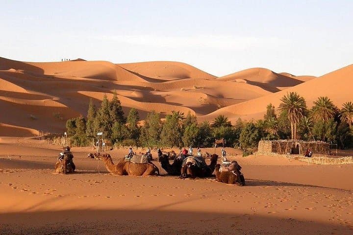 5-Day Private Sahara Desert Adventure from Agadir: Merzouga Dunes & Atlas Passes photo 3