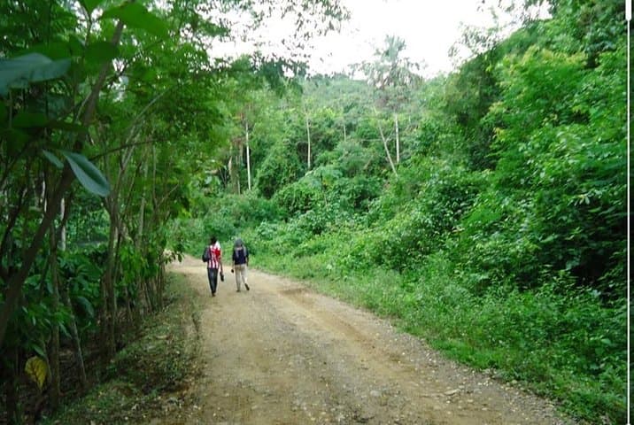 Footprint of the Jaguar: Ecological Path in Montes de María (San Jacinto) photo 2