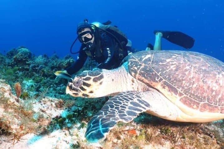 Mahahual Mesoamerican Reef: Small-Group Scuba with Aluxdivers photo 2