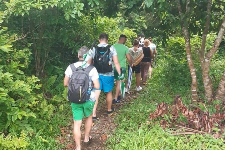 Explore Jozani Forest: Red Colobus & Mangrove Boardwalk Tour photo 3