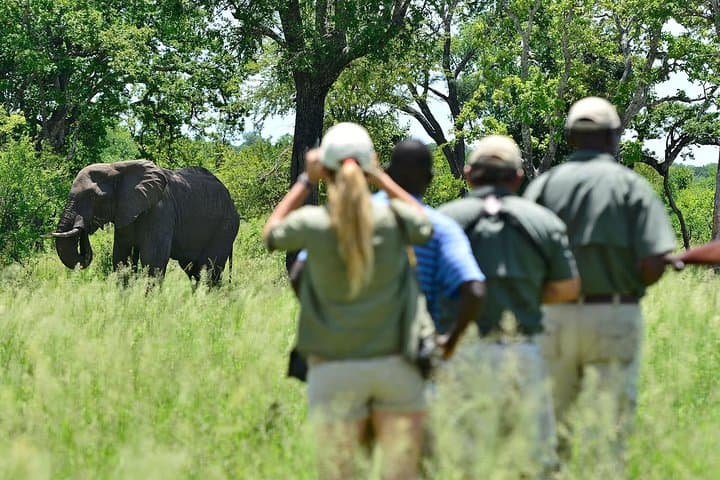 Victoria Falls Camping Adventure: 4-Day Livingstone & Zambezi Experience