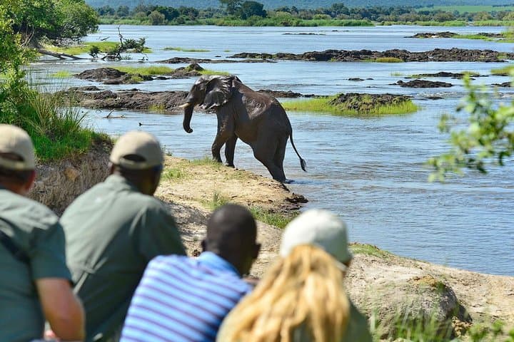 Victoria Falls Camping Adventure: 4-Day Livingstone & Zambezi Experience photo 2