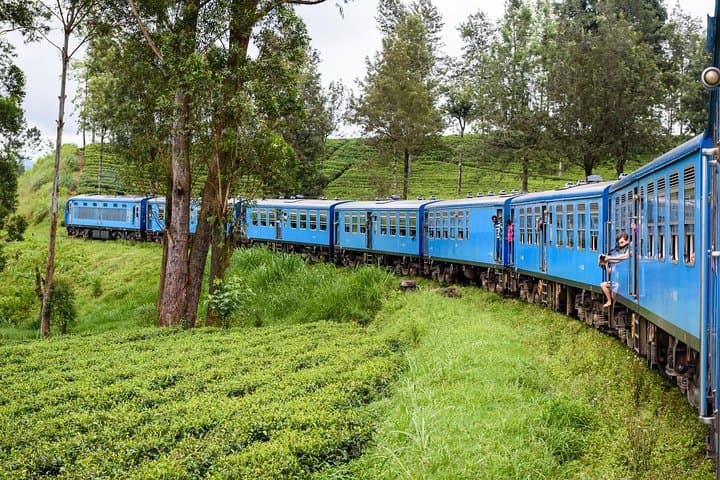 4-Day Cultural Triangle Tour: Kandy, Sigiriya & Nuwara Eliya — Temple, Rock & Tea Country