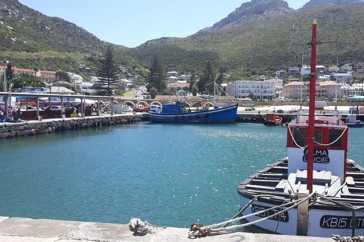 Cape Point & Boulders Beach Private Day Tour — Penguins, Scenic Drives & Cape Point photo 3