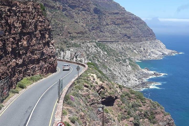 Cape Point & Boulders Beach Private Day Tour — Penguins, Scenic Drives & Cape Point photo 4