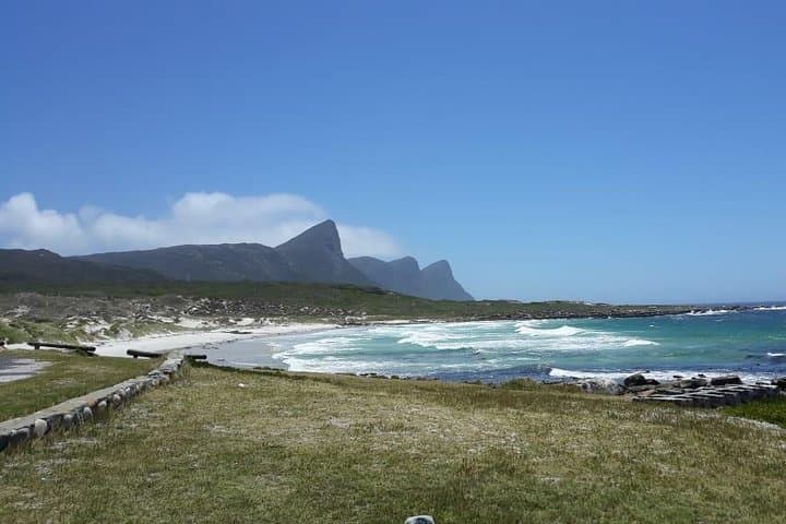 Cape Point & Boulders Beach Private Day Tour — Penguins, Scenic Drives & Cape Point photo 5