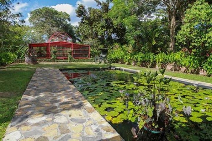 Caguas Cultural Day Trip from San Juan — Botanical Garden, Museums & Lunch photo 4