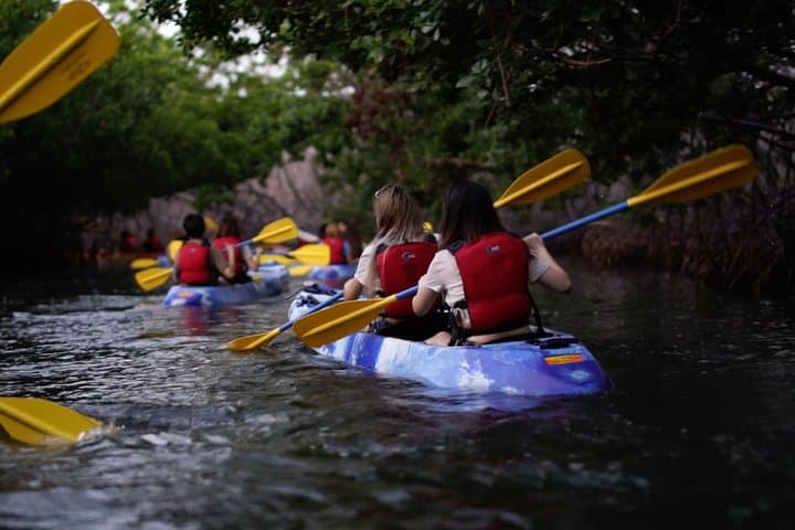 Night Kayak to Laguna Grande: Bioluminescent Bay Adventure from San Juan photo 4