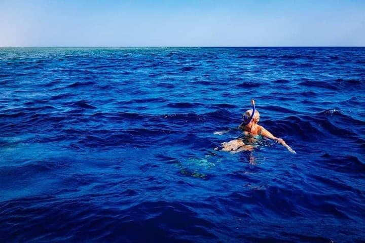 Swim with Wild Dolphins in the Azores: Biologist-Led Ethical Encounters photo 4