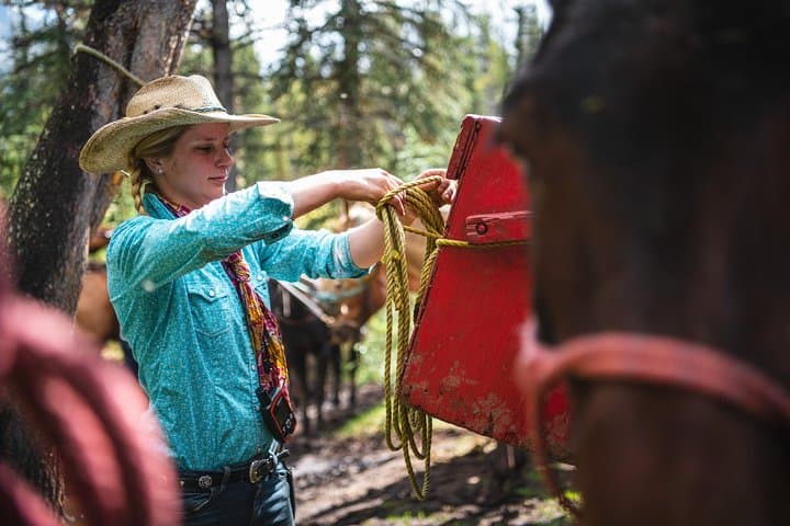 2-Day Sundance Backcountry Lodge Horseback Trip from Banff photo 3