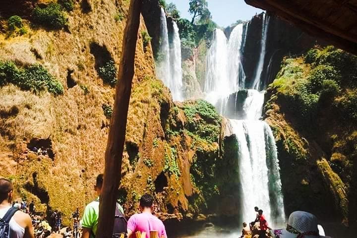 Ouzoud Waterfalls: Full-Immersion Daytrip from Marrakech photo 5