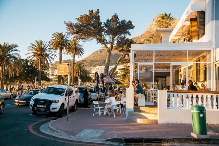 Cape Peninsula Day Tour — Cape Point, Penguins & Hout Bay Seals photo 3