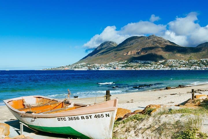 Cape Peninsula Day Tour — Cape Point, Penguins & Hout Bay Seals photo 2