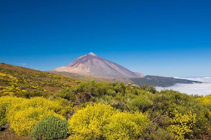 Crossing Teide: Private Volcano & Mt Teide Tour from Tenerife’s South Coast photo 3
