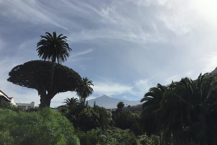 Tenerife Magic Circle: Private VIP Full-Island Photo & Teide Day Tour photo 2