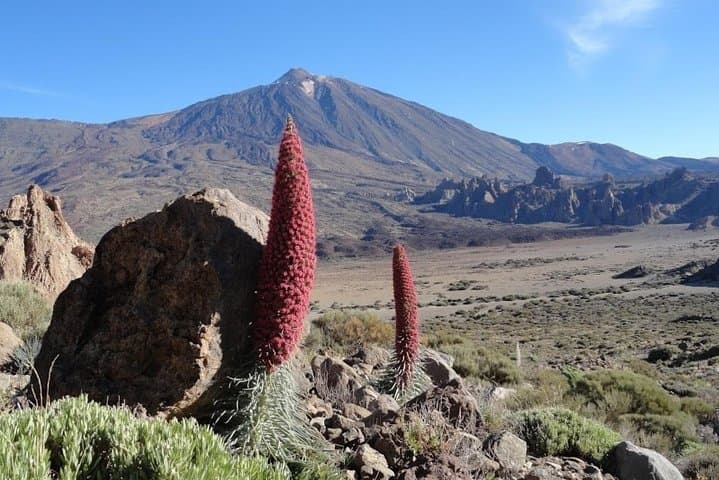 Tenerife Magic Circle: Private VIP Full-Island Photo & Teide Day Tour photo 3