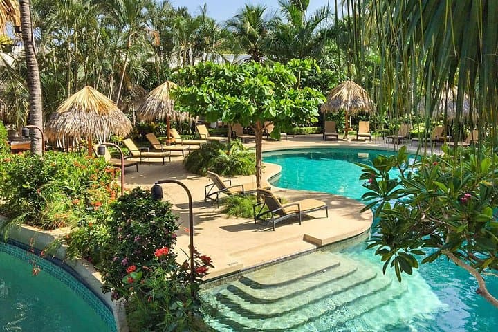 Private Transfer from San Jose (SJO) to Tamarindo — Door-to-Door Shuttle to Costa Rica’s Surf Coast photo 5