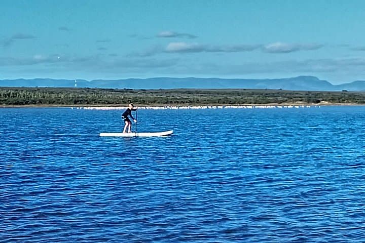 Jeffreys Bay Stand Up Paddle Boarding: Beginner-Friendly Lagoon Tours Near Nature Reserve photo 3