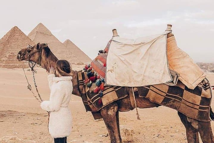 Sunrise Camel & Horse Ride Around the Giza Pyramids