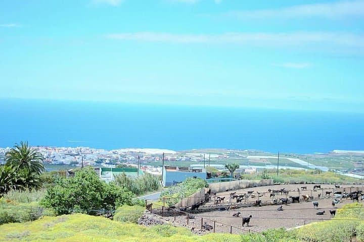 Private VIP Full-Day Tenerife Island Tour: Masca, Anaga & Candelaria photo 4