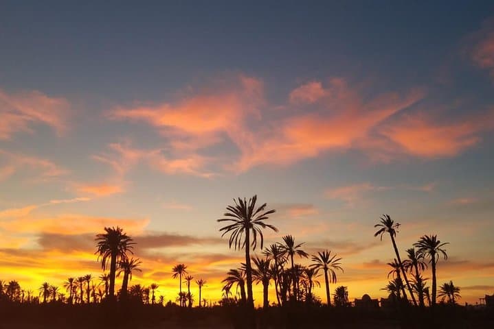 Camel Ride in Marrakech Palmeraie — Half-Day Caravan with Mint Tea
