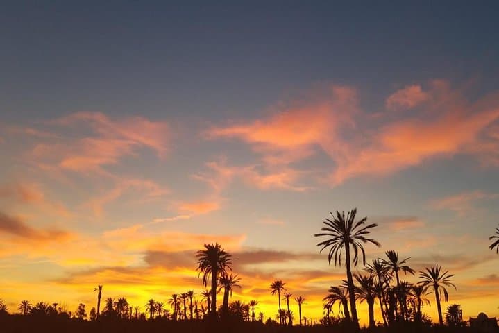 Camel Ride in Marrakech Palmeraie — Half-Day Caravan with Mint Tea photo 2