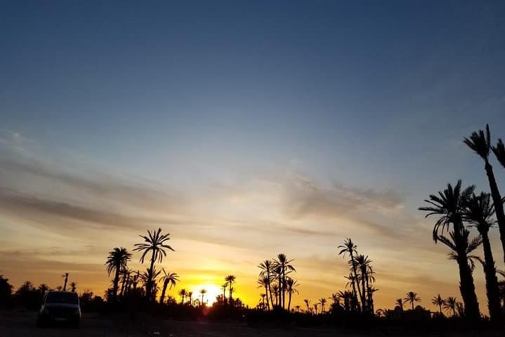 Camel Ride in Marrakech Palmeraie — Half-Day Caravan with Mint Tea photo 4