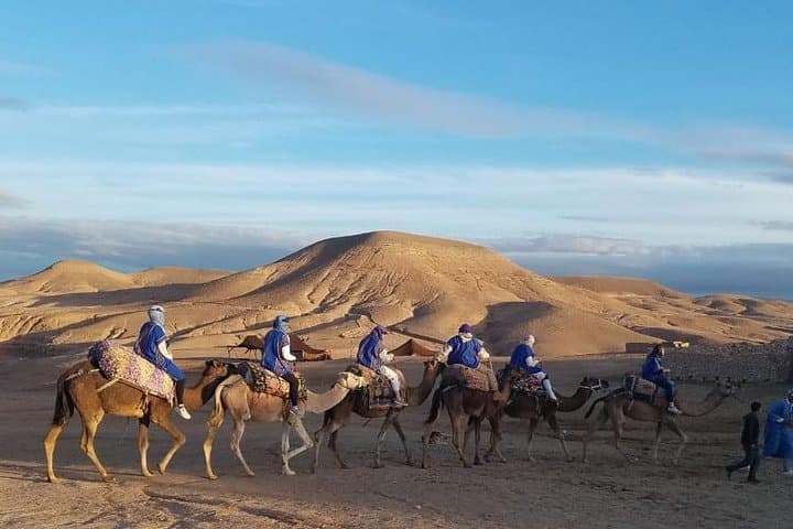 Camel Ride in Marrakech Palmeraie — Half-Day Caravan with Mint Tea photo 5