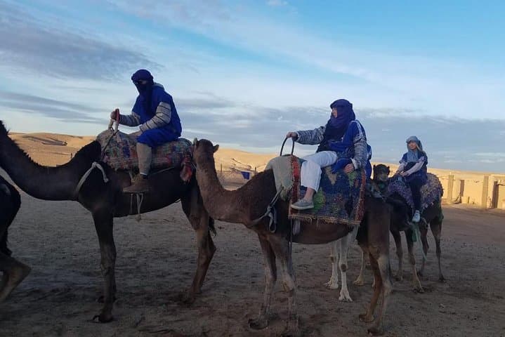 Camel Ride in Marrakech Palmeraie — Half-Day Caravan with Mint Tea photo 6