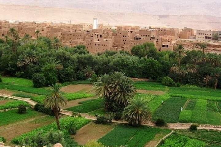 Fez to Marrakech: 5-Day Luxury Sahara Tour via Merzouga Dunes photo 4