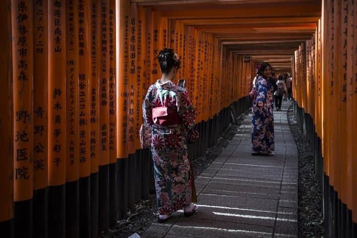 Tokyo to Kyoto in a Day: Private Shinkansen Tour of Kyoto’s Highlights photo 3