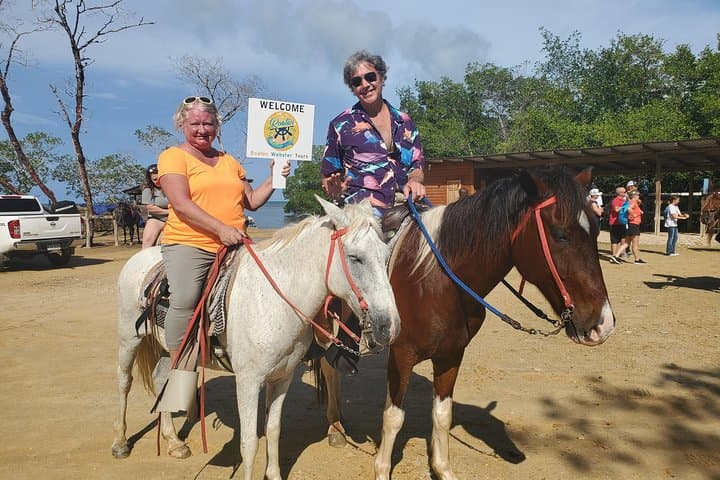 Roatan Combo: Horseback Riding, Sloth Sanctuary & West Bay Snorkel (4–6 hrs)
