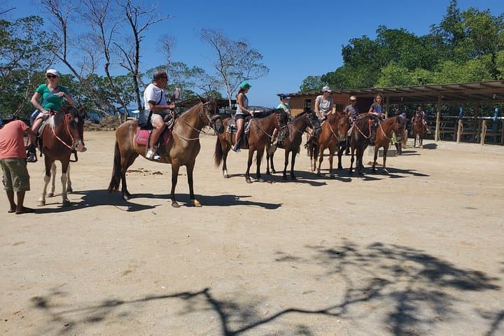 Roatan Combo: Horseback Riding, Sloth Sanctuary & West Bay Snorkel (4–6 hrs) photo 3