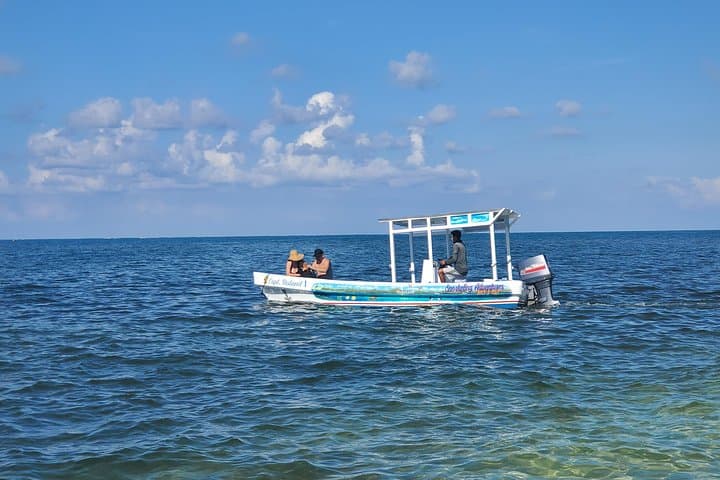 Roatan Combo: Horseback Riding, Sloth Sanctuary & West Bay Snorkel (4–6 hrs) photo 4