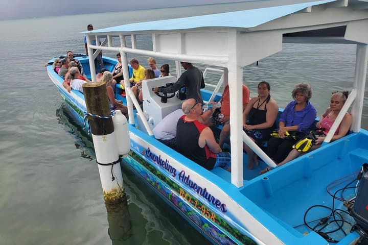Roatan Combo: Horseback Riding, Sloth Sanctuary & West Bay Snorkel (4–6 hrs) photo 5